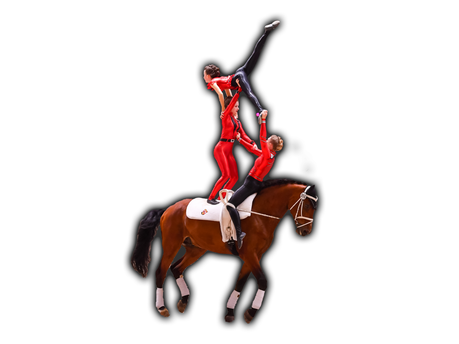 CVI VAULTING LIER 2022 Azelhof Pegasus Photo Webstore